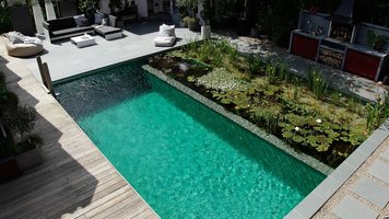 Swimming Teich von oben mit Terrasse und Pflanzen