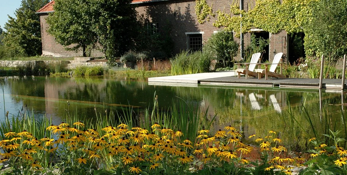 Ein Naturgarten, mit einem Naturteich, einer Holzterrasse, zwei Liegestühlen und gelben Pflanzen im Vordergrund.